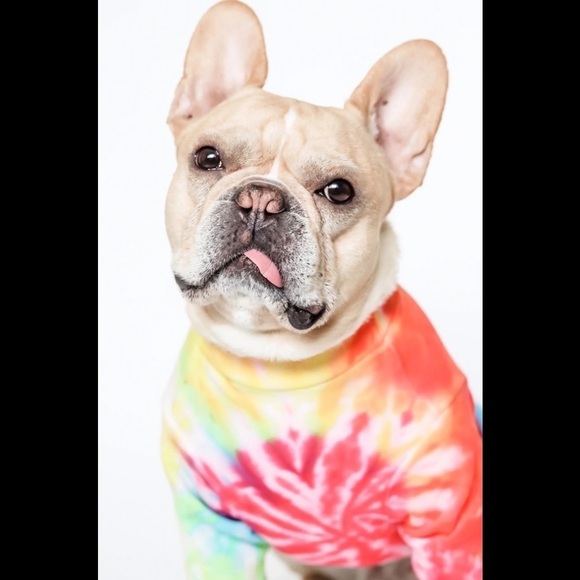 LoveThyBeast Brand 𝅺Tie-Dye Multicolor Dog Sweatshirt W/Short Sleeves - Picture 5 of 9